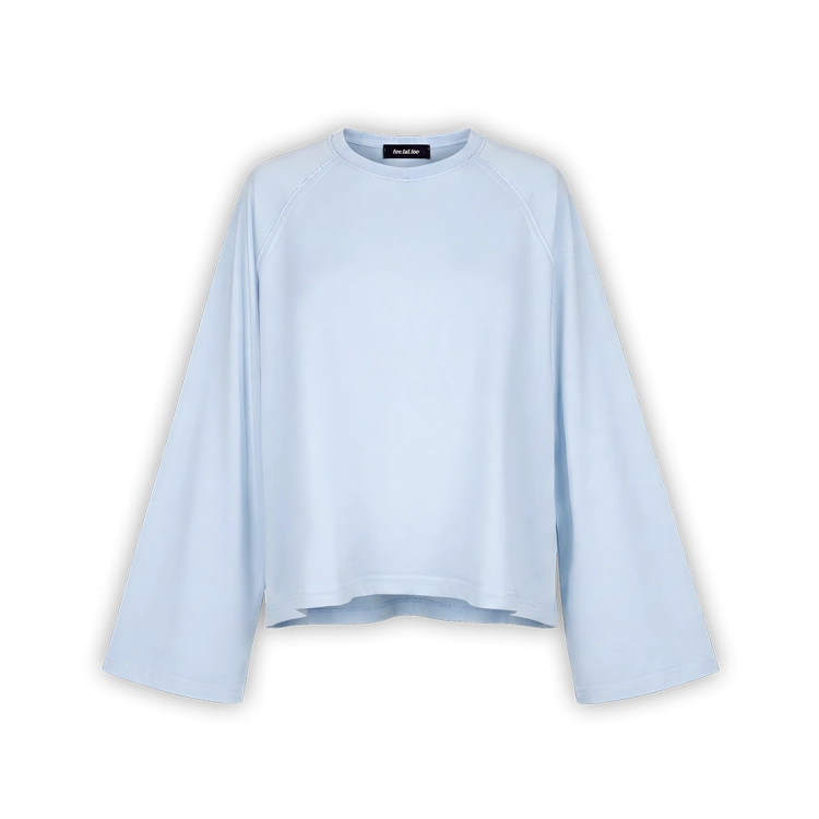 baby blue longsleeve.png