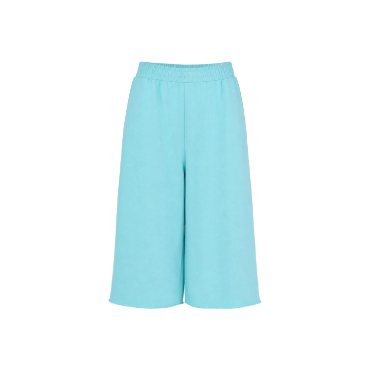 turkusowe jortsy.png