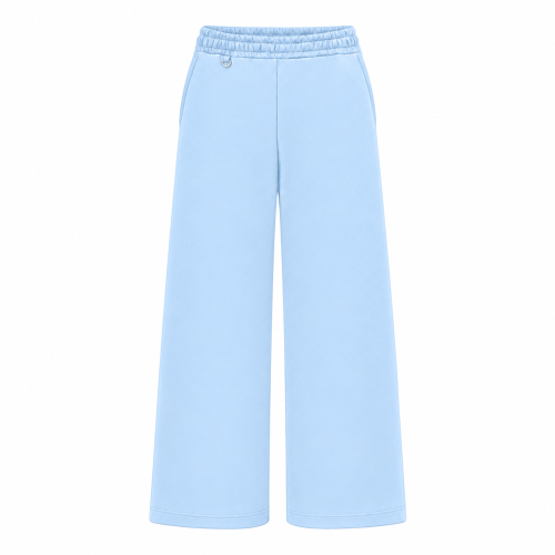 BABY_BLUE_pants_2.0.png